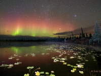 Reflected Aurora Over Alaska