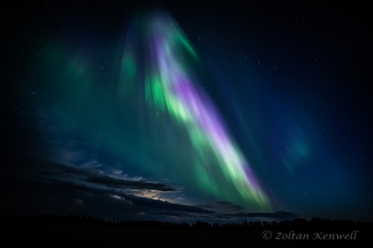 Zoltan-Kenwell-Zoltan-Kenwell2_1402240779_lg
