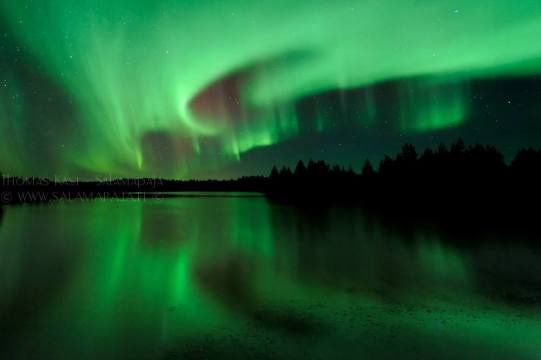 Aurora - Thomas Kast in Finland
