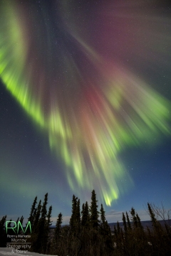 Alaska Aurora - Nov. 10, 2014 - a