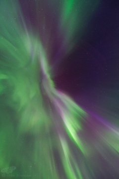 Aurora - Oskar Pettersson of Luleå, Sweden
