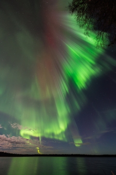 Aurora - Oskar Pettersson- Luleå, Sweden