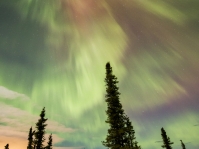 Alaska Aurora - Nov. 10, 2014 - d