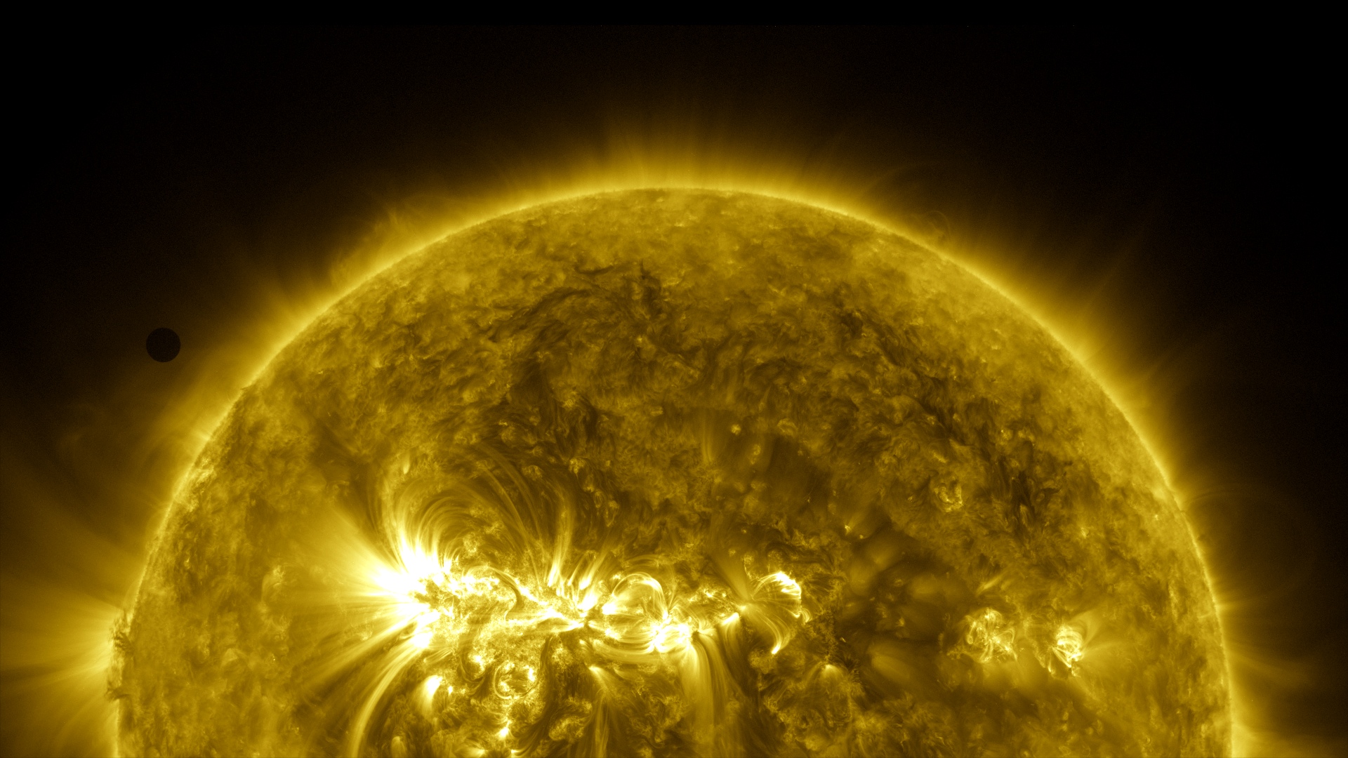 The Transit of Venus - The Sun Today with Dr. C. Alex Young