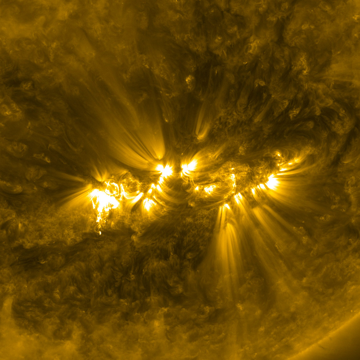 A wide and vigorous active region group (AR11121 and AR11123) produced several flares as SDO observed in 171 angstrom extreme ultraviolet light (Nov. 11-12, 2010).