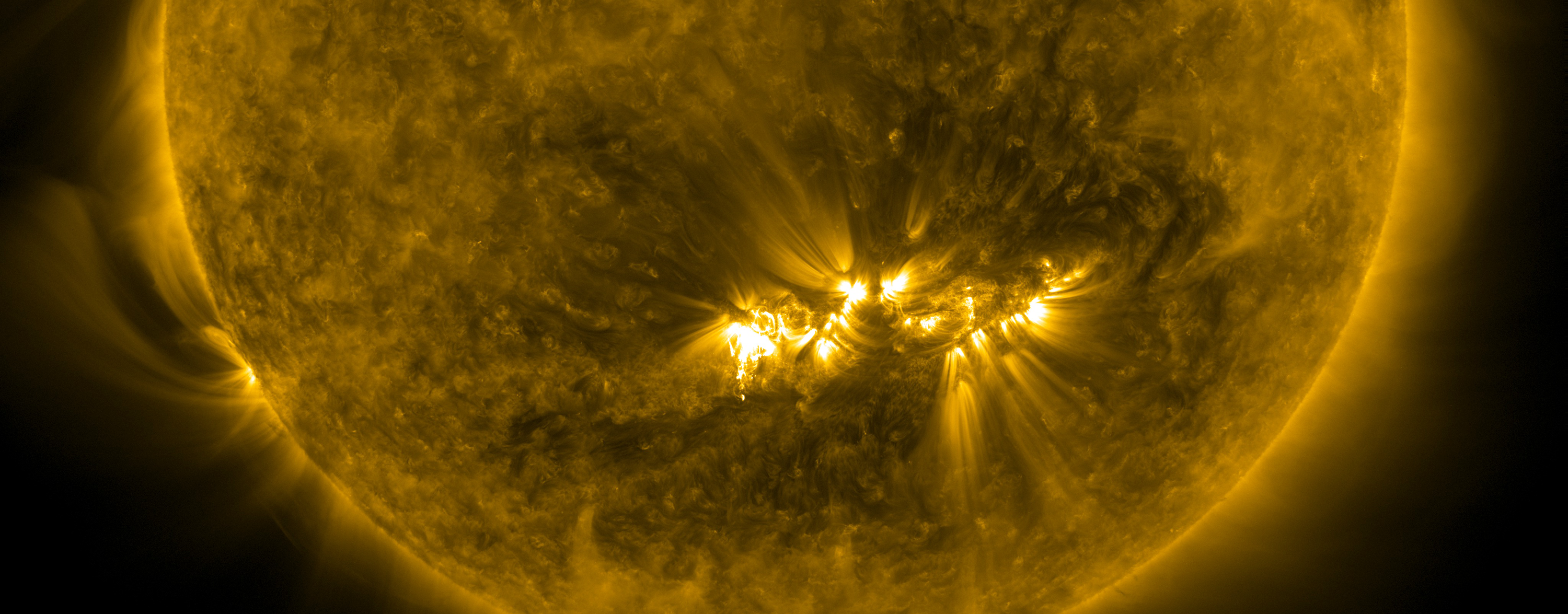 Sunspot complex composed of active regions, AR11121 and AR11123, observed in the 171 angstrom channel of SDO/AIA.