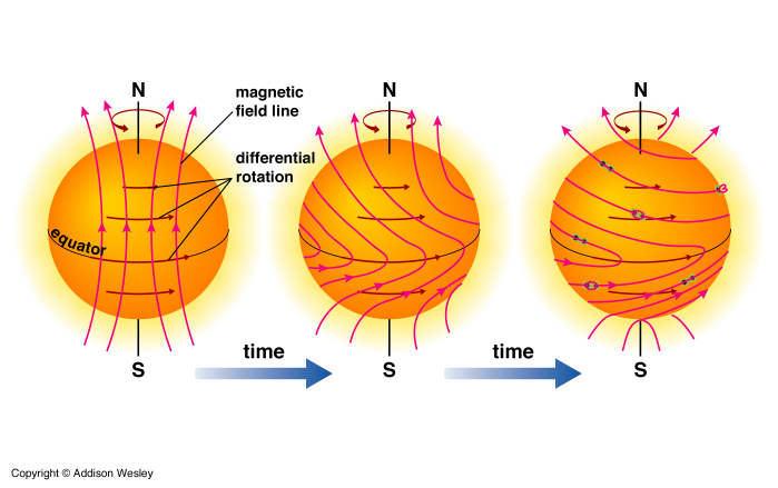 The solar cycle