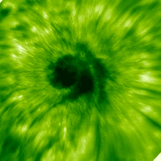 Scientists analyzed sunspot images from a trio of observatories -- including the Big Bear Solar Observatory, which captured this footage -- to make the first-ever observations of a solar wave traveling up into the sun’s atmosphere from a sunspot. Credits: BBSO/Zhao et al