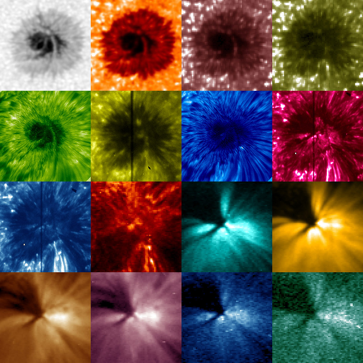 Scientists used data from NASA’s Solar Dynamics Observatory, NASA’s Interface Region Imaging Spectrograph, and the Big Bear Solar Observatory to track a solar wave as it channeled upwards from the sun’s surface into the atmosphere. Credits: Zhao et al/NASA/SDO/IRIS/BBSO