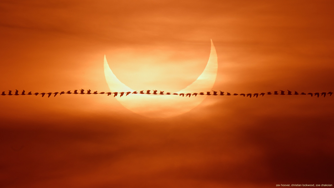 Eclipse Flyby - June 10, 2021 Partial Solar Eclipse - Image Credit & Copyright: Zev Hoover, Christian A. Lockwood, and Zoe Chakoian