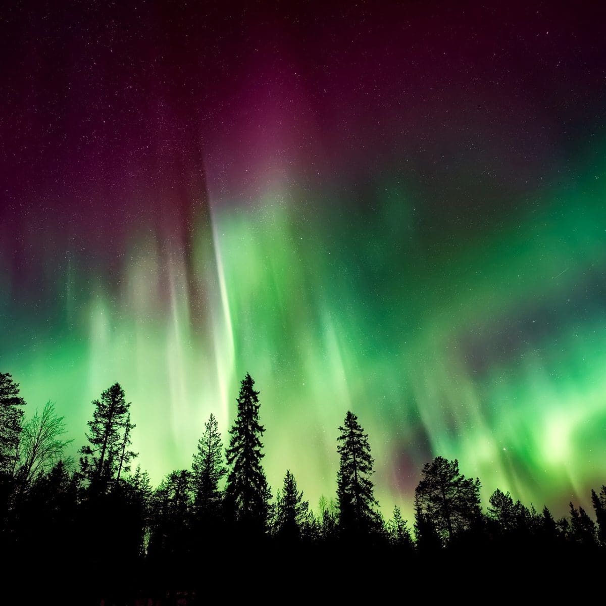 Aurora borealis by David Mark