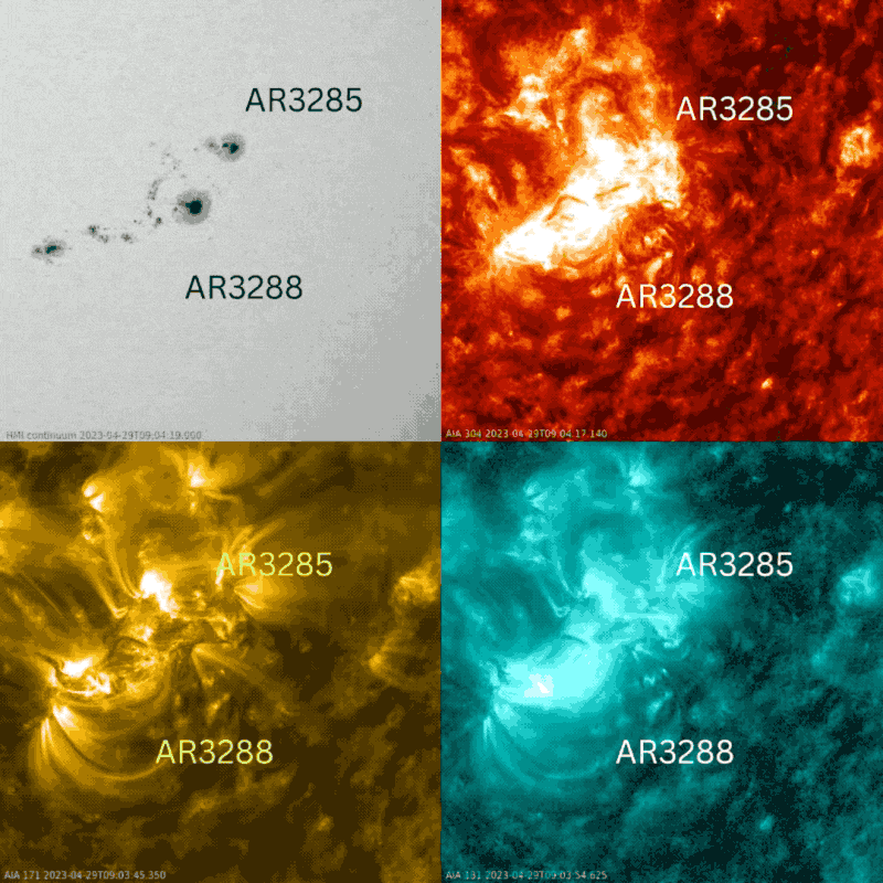 Sun activity for April 30, 2023. This gif shows the 2 neighboring sunspot regions AR3285 on the top and AR3288 below it. Top left gif: white light showing sunspots; top right: 304 angstroms showing flaring, filaments, and jets; bottom left: 171 angstroms showing flaring and magnetic loops; and bottom right: 131 angstroms showing the hottest flaring plasma. The images are via SDO and jhelioviewer.