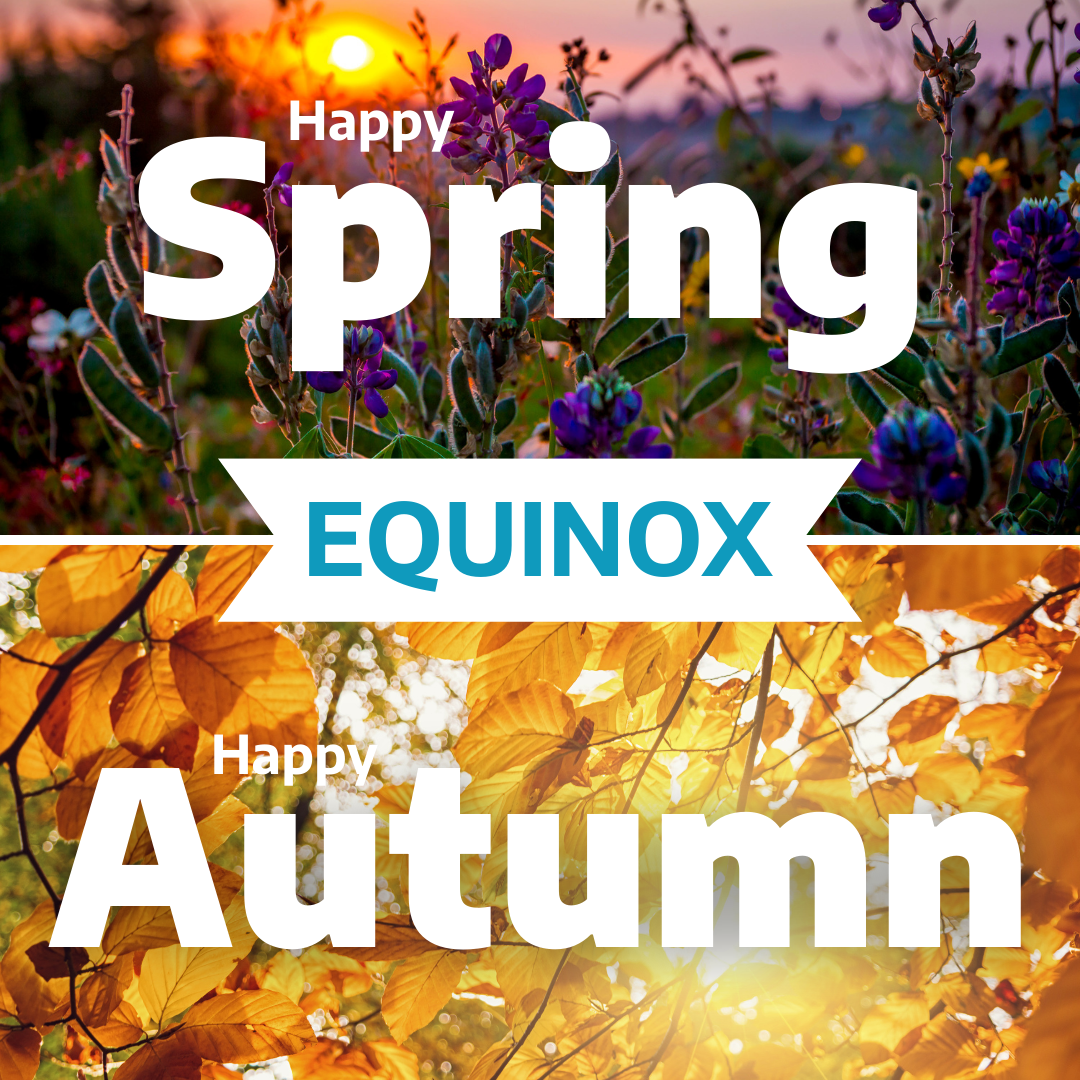 The 2024 March Equinox happens on Tuesday, March 19, 2024, at 11:06 p.m. EDT • 8:06 p.m. PDT (3:06 UTC on Wednesday, March 20, 2024)