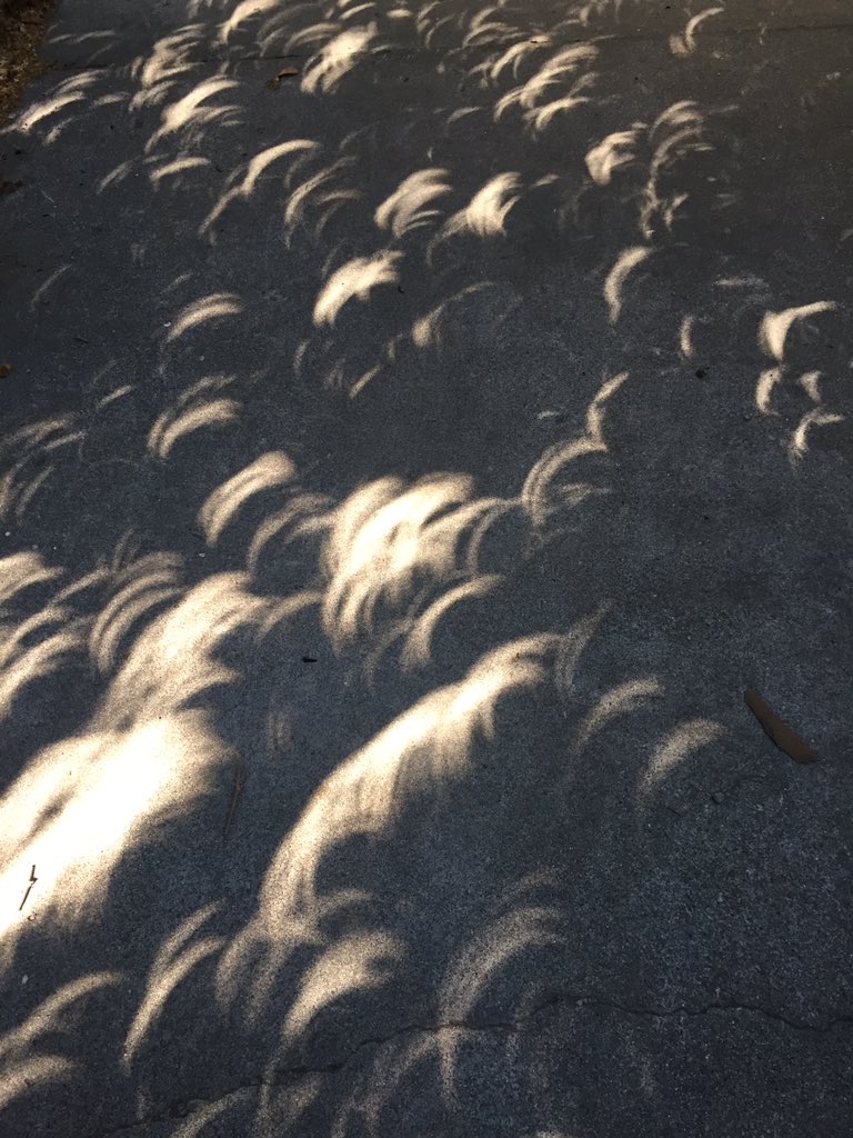 92% Partial Solar Eclipse Shadows