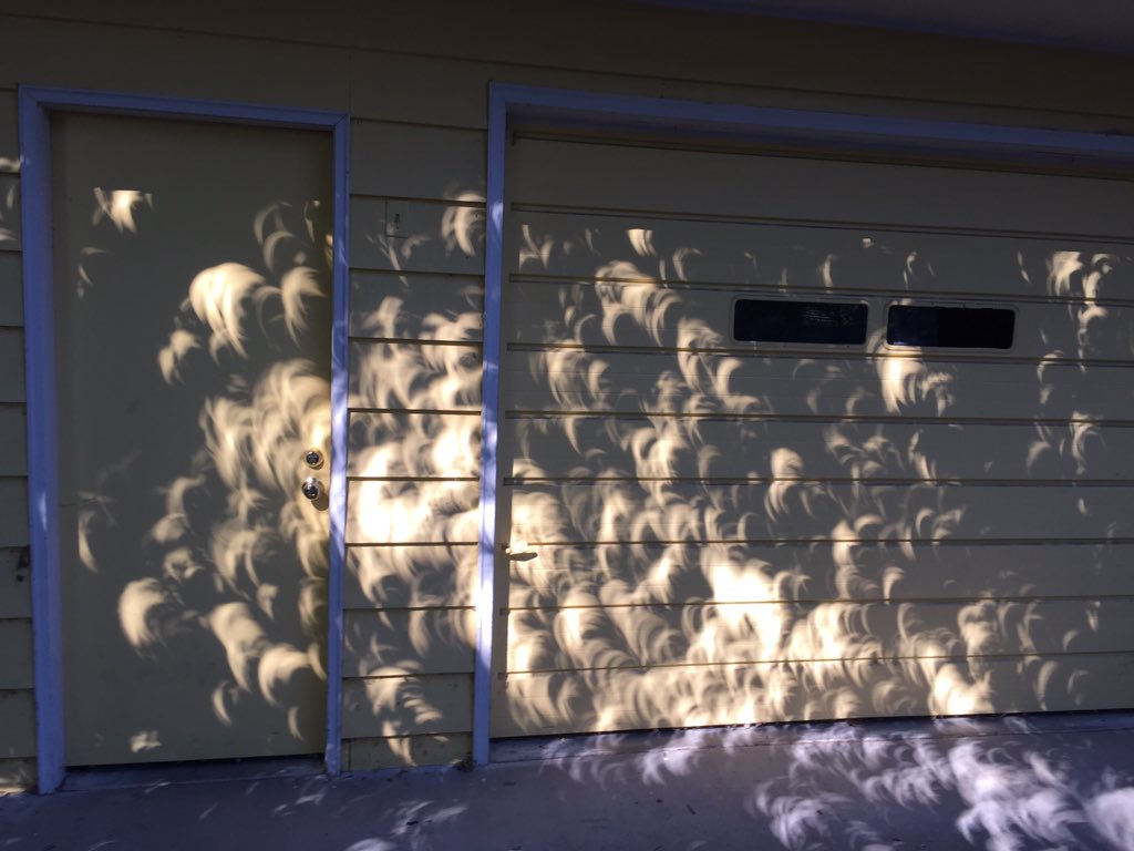 92% Partial Solar Eclipse Shadows