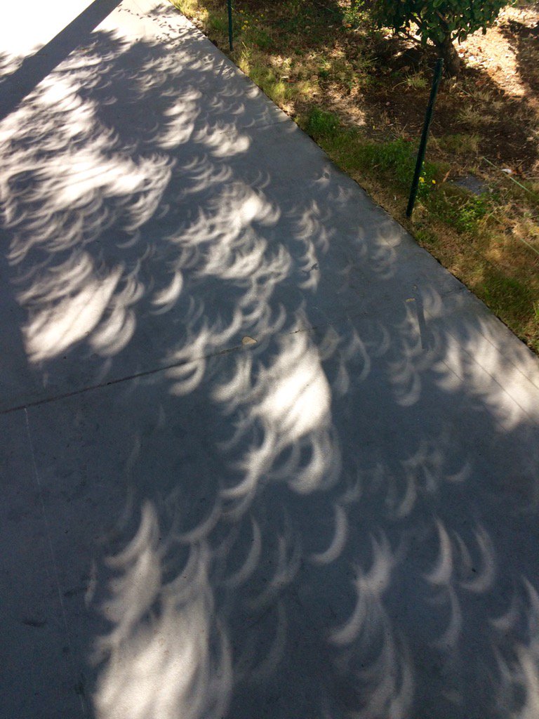 Partial Solar Eclipse Shadows